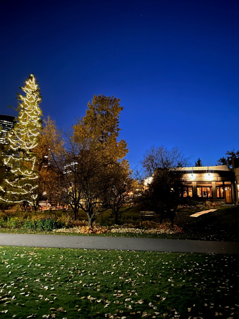 A cozy café in Prince’s Island Park glows warmly beside a landscaped garden at night. A tall evergreen wrapped in white lights stands among autumn trees, benches, and flower beds, while fallen leaves cover the lawn and pathway beneath a deep blue evening sky dotted with faint stars.