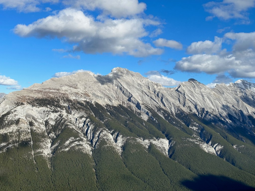 Rugged gray mountain peaks rise above dense dark-green evergreen forest, their steep ridges and layered rock formations sharply defined in bright sunlight. Puffy white clouds drift across a vivid blue sky, while shadows near the lower slopes add contrast and depth to the expansive Canadian Rockies landscape.