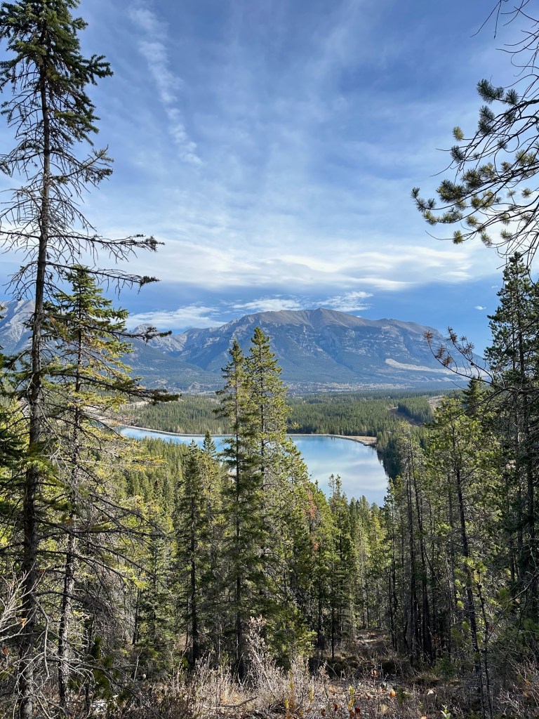 Tall evergreen trees frame a scenic mountain landscape, with a calm blue lake nestled below in a dense forest valley. In the distance, broad gray mountains rise beneath a bright sky filled with sweeping clouds. The elevated viewpoint creates a peaceful, expansive view of the wilderness.