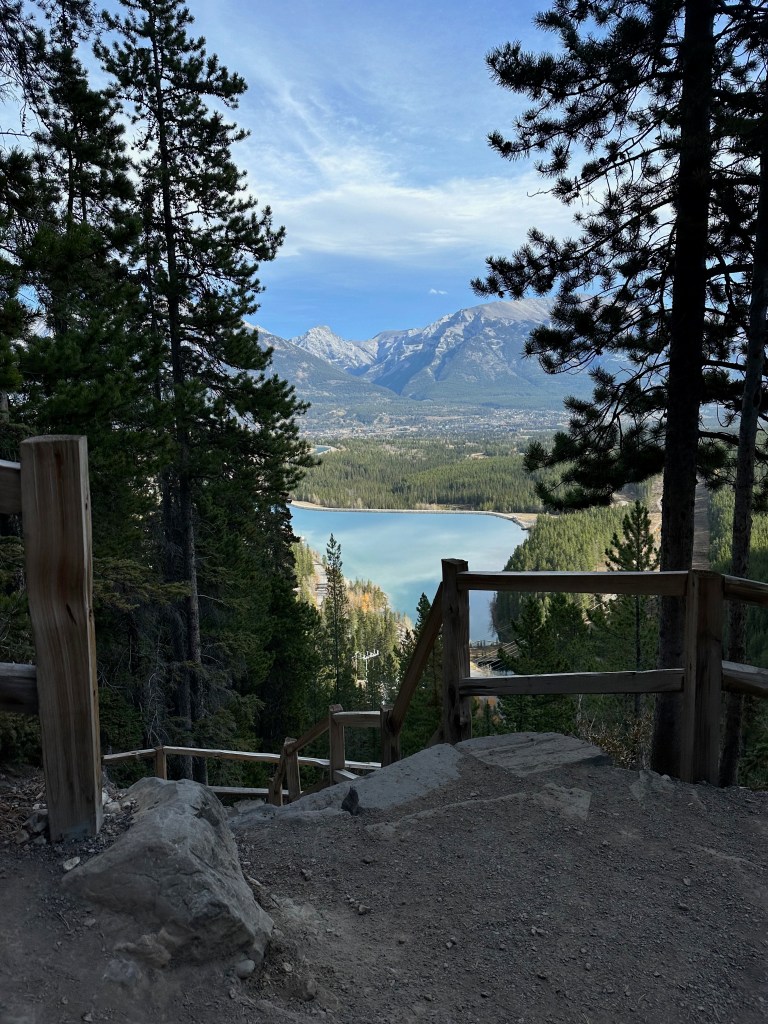 A wooden staircase descends through tall pine trees toward a turquoise lake surrounded by dense forest. Beyond the water, a broad valley leads to rugged gray mountains beneath a pale blue sky. The elevated viewpoint and natural framing create a peaceful, expansive view of the Canadian Rockies.